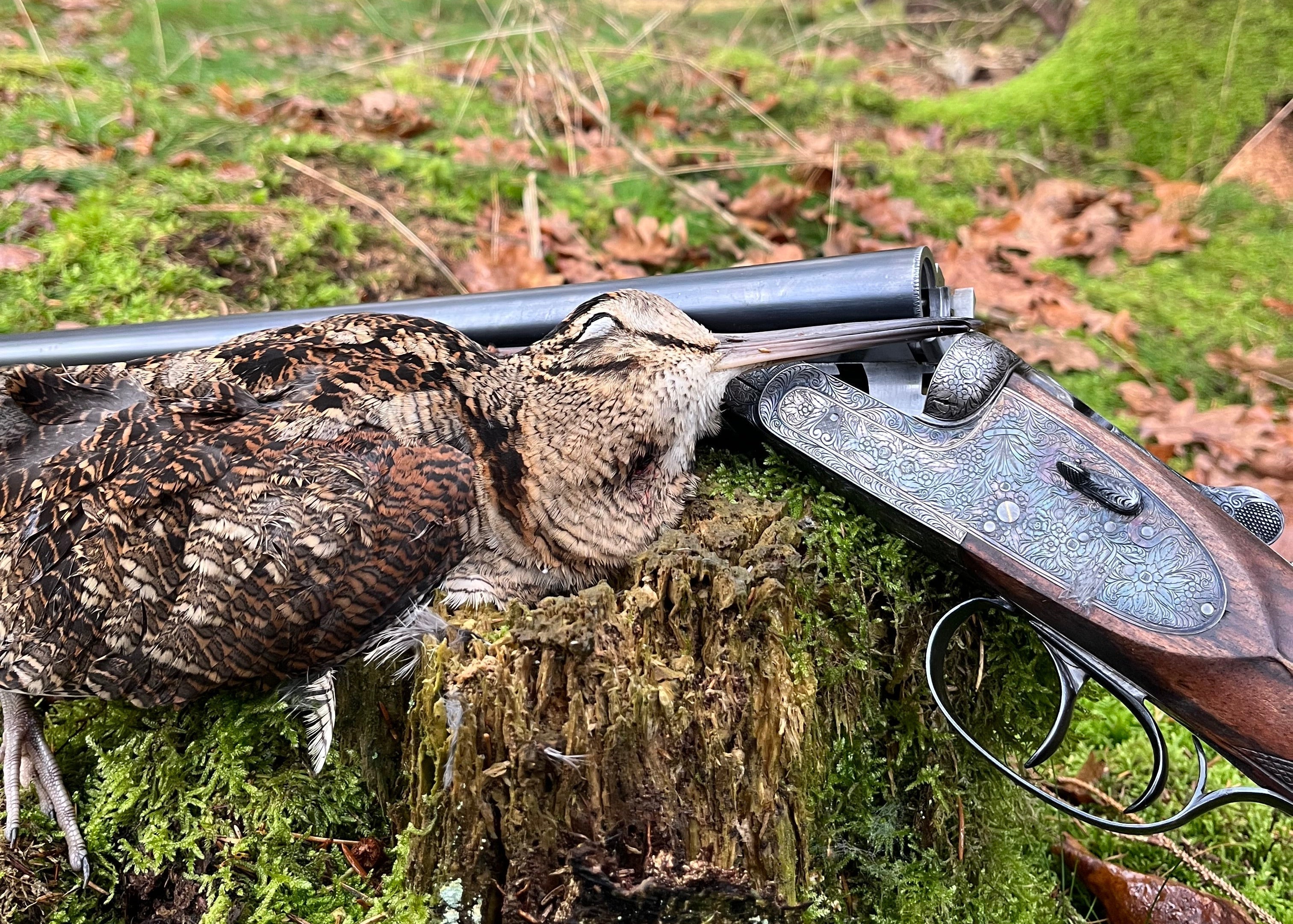 Beklædning til sneppejagt